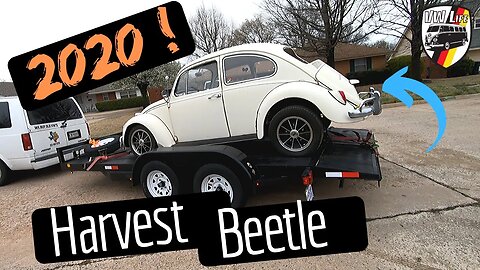 We Rescued The 2020 VW Harvest Beetle!