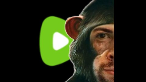 intro then for honor an monkey