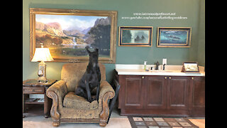 Black Great Dane Sits Like A Statue In An Art Studio