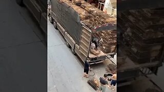 This is absolutely devastating Dogs in China