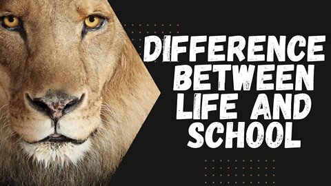 Difference between school and life?