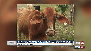 Man facing dozens of charges of animal abuse