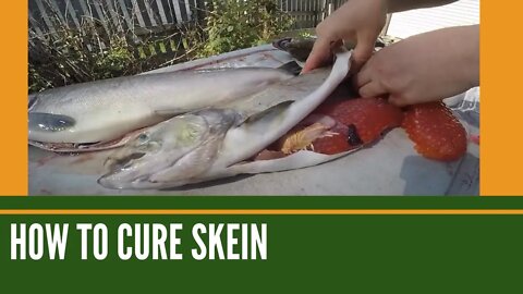 How To Cure Skeins / Pro Cure Egg Cure / How To Use Eggs As Bait / Skein Curing Tips
