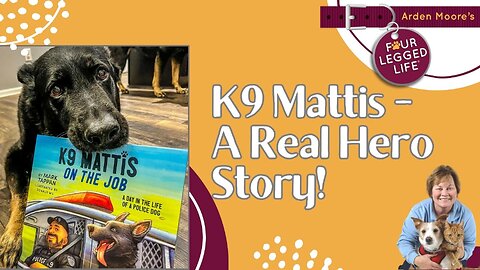 K9 Mattis - A Hero's Story!
