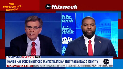 Byron Donalds schools Fake ABC News when Stephanopoulos freaks out on criticism of Kamala's flipping between being Indian or a Black for her benefit.