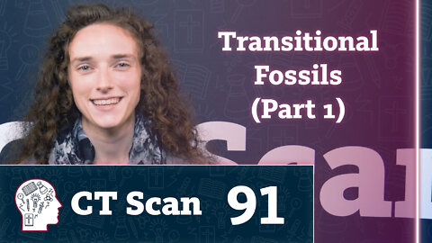 Are transitional fossils evidence for evolution? (CT Scan, Episode 91)