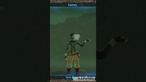 Audition Video [#04] So You Want to Be Link Competition [BOTW] Submit Your Video Today!