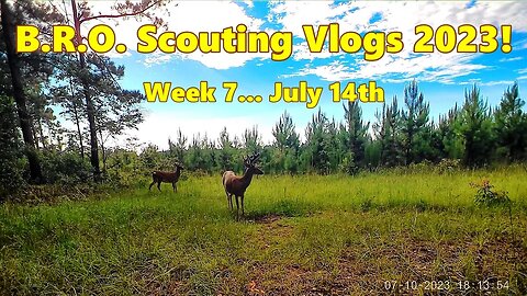 B.R.O. Scouting vlogs 2023! Week 7... Heat & Storms!
