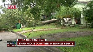 Storm knocks down trees in Seminole Heights 6pm