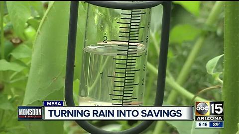 How you can cash in on the monsoon with rain water harvesting