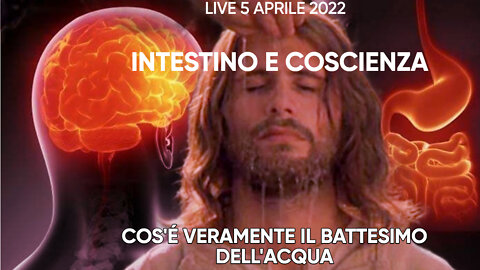 Intestino e Coscienza. Il battesimo dell’acqua di Gesù e la pratica del clistere