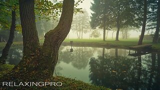 Music for Stress Relief & Insomnia, Soothing and Calming piano music 🔴 RELAXINGPRO
