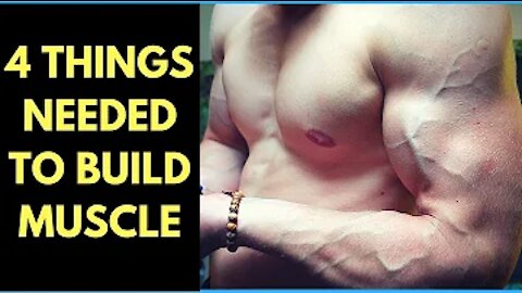 4 Things You Need to Build Muscle on the Ketogenic Diet (Any Diet, Really)