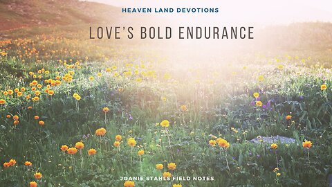 Heaven Land Devotions - Love's Bold Endurance