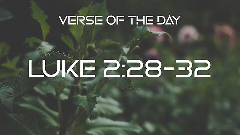 December 27, 2022 - Luke 2:28-32 // Verse of the Day