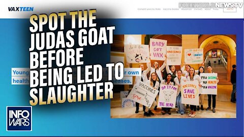 Learn How to Spot the Judas Goat Before Being Led to Slaughter