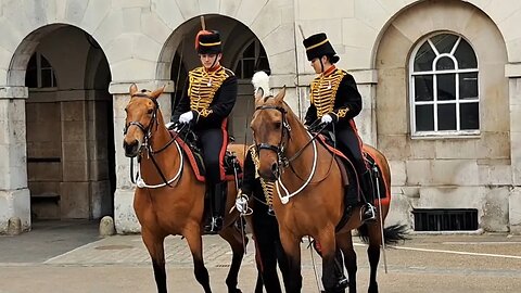 The officer pushes his way out after getting squahed between to horse's #horseguardsparade