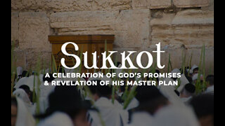 Sukkot with Rabbi Saul Sender