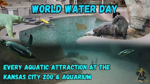 Why is the Ocean IMPORTANT in MISSOURI??? | World Water Day at the Kansas City Zoo