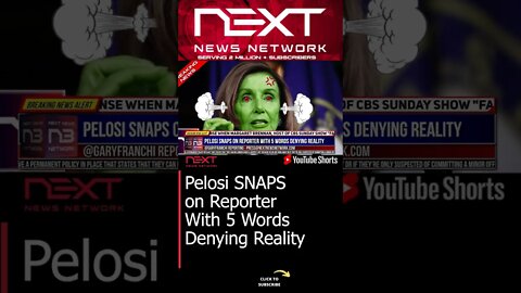 Pelosi SNAPS on Reporter With 5 Words Denying Reality #shorts