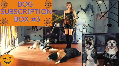 Dog Subscription Box October/ Woof Pack | Dog Vader and Dogzilla