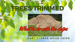 What To Do With Wood Chips Part 1