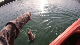 Fishing Highlights from Michigan pt 3