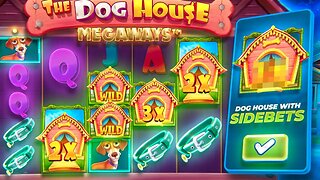INSANE SCREEN ON DOG HOUSE MEGAWAYS WITH SIDE BETS!