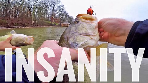 INSANE Chickamauga Bass Fishing with Crankbaits!