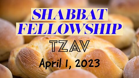 Shabbat Fellowship - Tzav - Plus LIVE Q&A (April 1 2023)