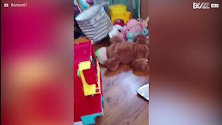 Un chat piégé dans une maison de poupées