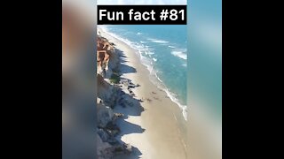 Australia has how many beaches?