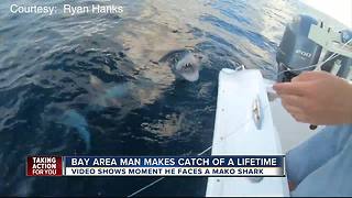 Clearwater fisherman catches massive mako shark off Tampa Bay coast