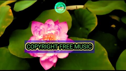 Royalty Free Harmonium background Indian Classical music for Content creators.