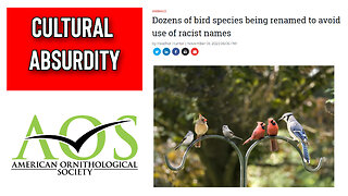 The American Ornithological Society To Change Bird Names Due To Racism