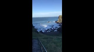 Dunluce Castle