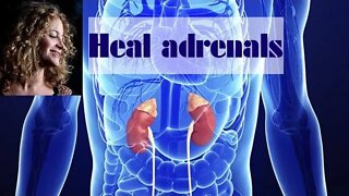 Healing adrenals- guided meditation to connect with the consciousness of your adrenals.