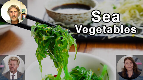 Are Sea Vegetables Critical To Include In Our Diet? - Anna Maria Clement, Brian Clement, Will