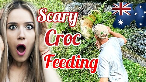 Crazy Crocodile Feeding at Australia zoo ( Steve Irwin ) 2023