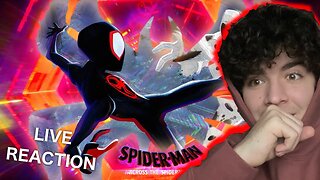 SPIDER-MAN ACROSS THE SPIDER-VERSE OFFICIAL REACTION