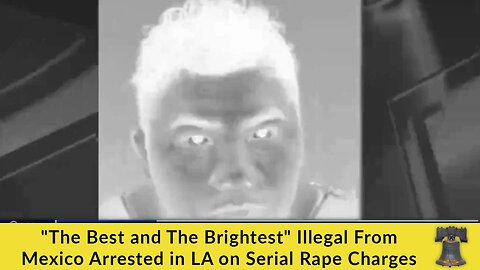 "The Best and The Brightest" Illegal From Mexico Arrested in LA on Serial Rape Charges