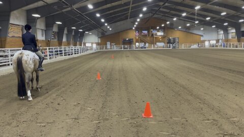 Midwest Regional- English Equitation 19 and 0ver