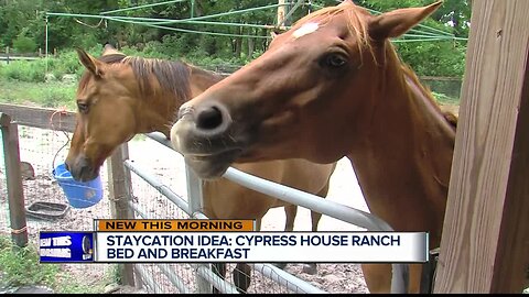 Cypress House Ranch Bed and Breakfast offers taste of the Old West, stress-free country vacation