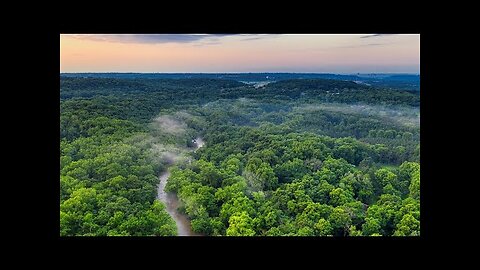 Amazon rainforest 4k wildlife video||Amazon