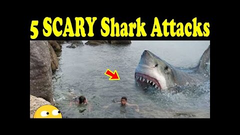 5 SCARY Shark Attacks CAUGHT ON CAMERA