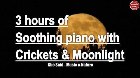 Soothing music with piano and crickets sound for 3 hours, relaxation music for insomnia & tinnitus