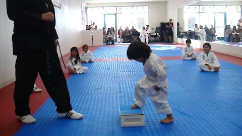 4-Year-Old Tries to Break Board in Taekwondo