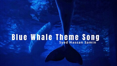 Blue Whale Theme Song