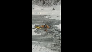 Firefighter helps adorable dog who fell in frozen Whitefish River