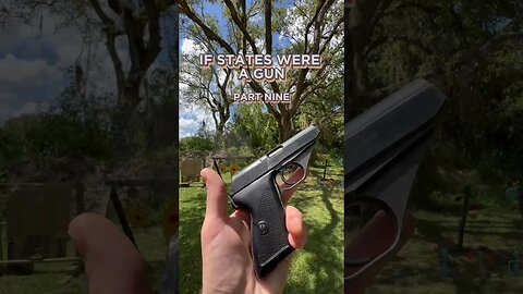 If States Were A Gun [PART 9]